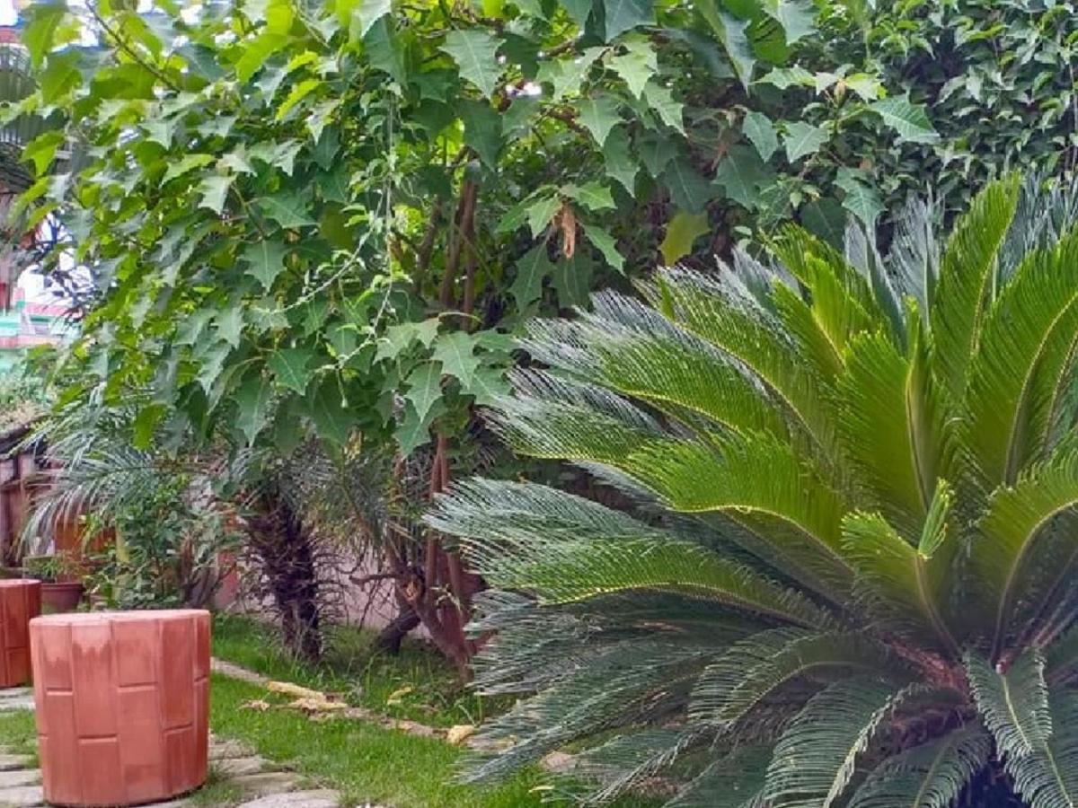 קטמנדו Chef House Resort מראה חיצוני תמונה